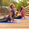 Excellence In Exercise